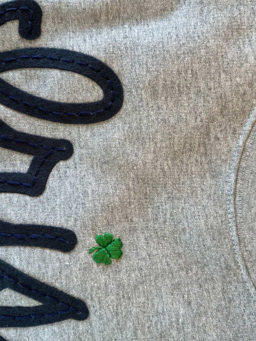 Adult Felt Applique Hand Embroidered Sweatshirt